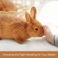 Choosing the right bedding 