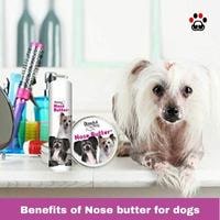 Benefits of Nose Butter for Dogs