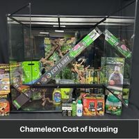 Chameleon Cost of Housing 