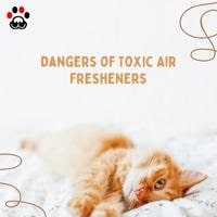 Dangers of Toxic Air Fresheners