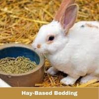 Hay-Based Bedding