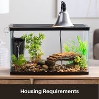 Housing Requirements