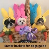 easter baskets for dogs