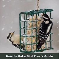 How to Make Bird Treats guide