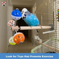 Look for Toys that Promote Exercise