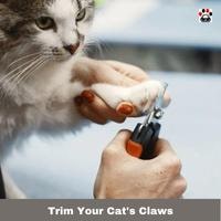 Trim Your Cat's Claws