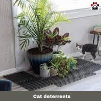 cat deterrents