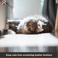 keep cats from scratching leather furniture