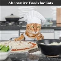 Alternative Foods for Cats