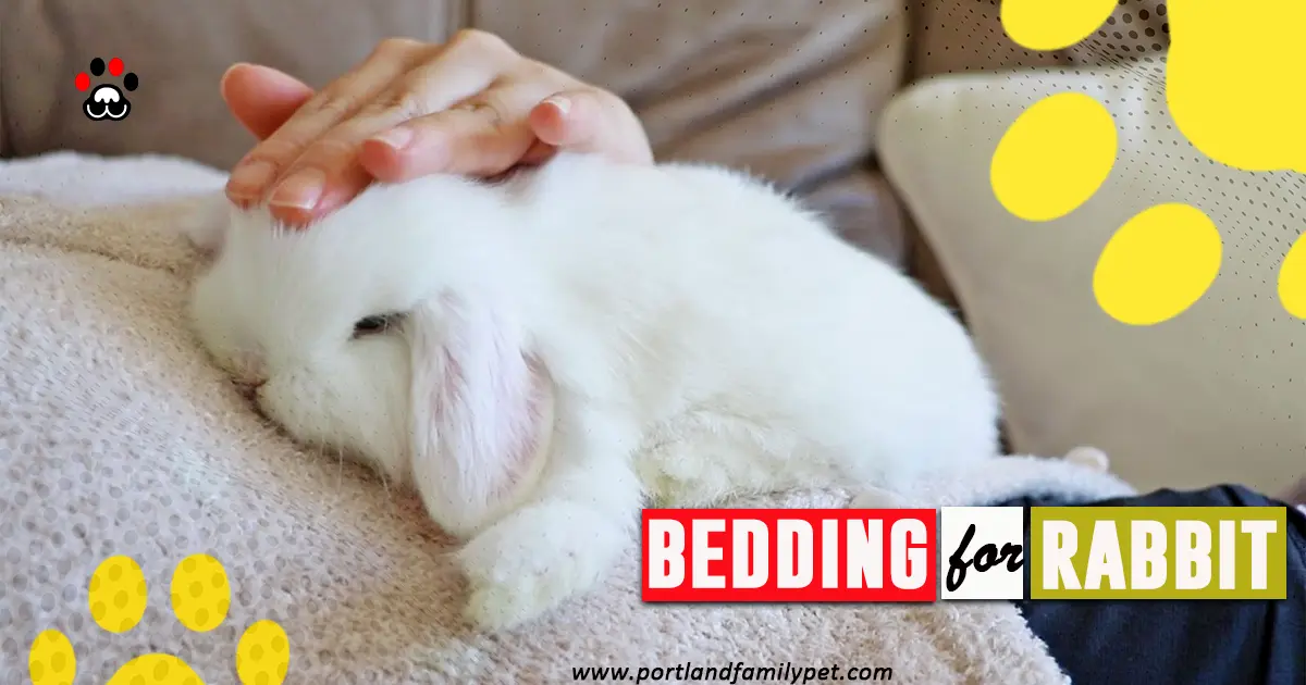 bedding-for-a-rabbits