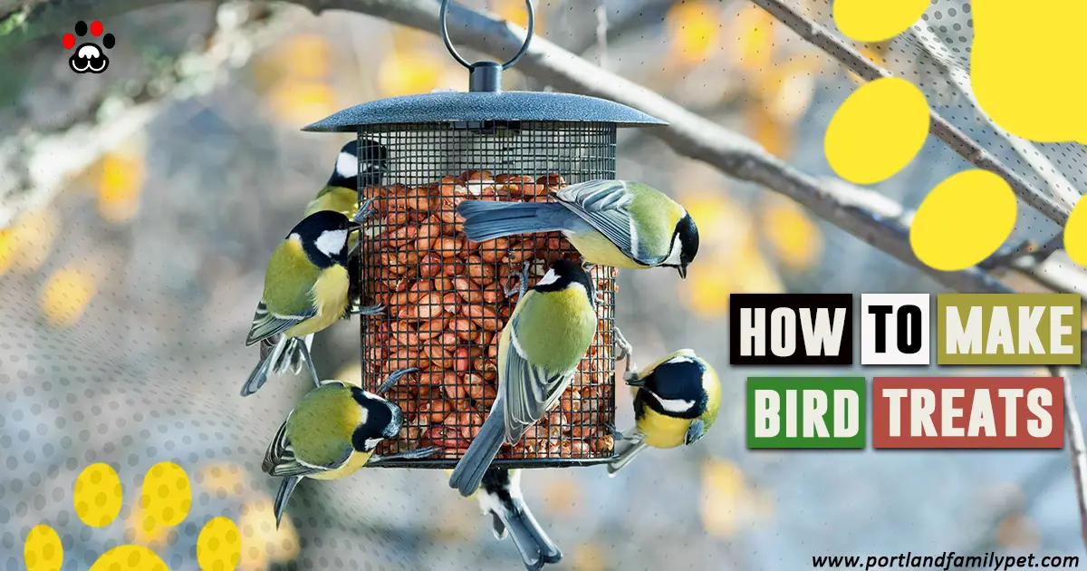 How to Make Bird Treats