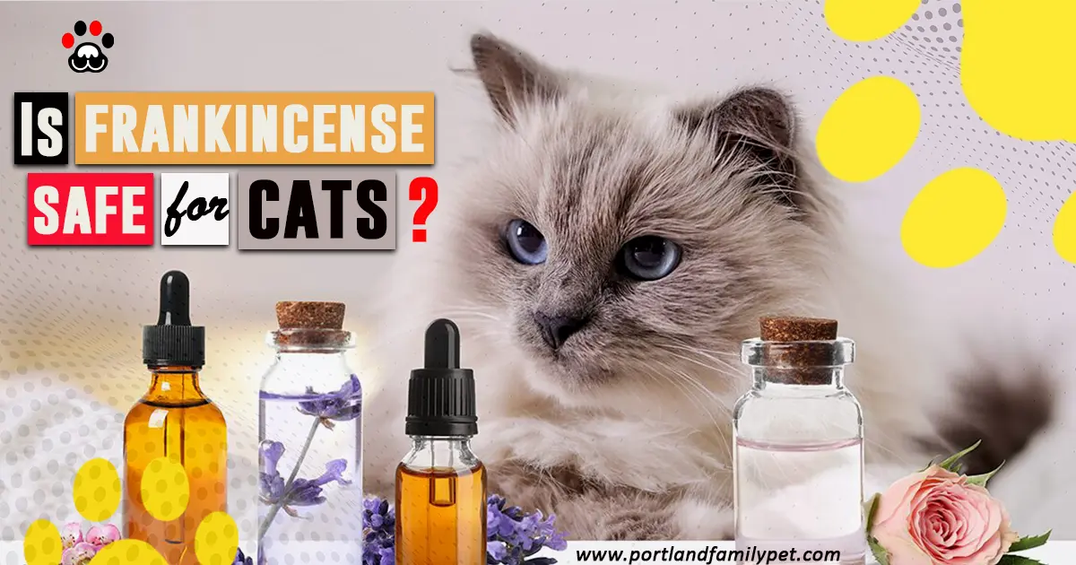 Is frankincense safe for catss