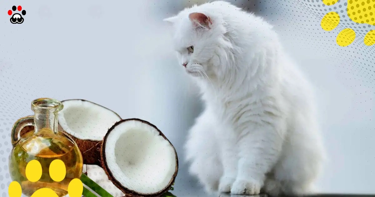 Is coconut oil safe for cats